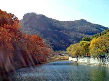 九龙仓年华里，城市核心的新居住典范与最新房价动态